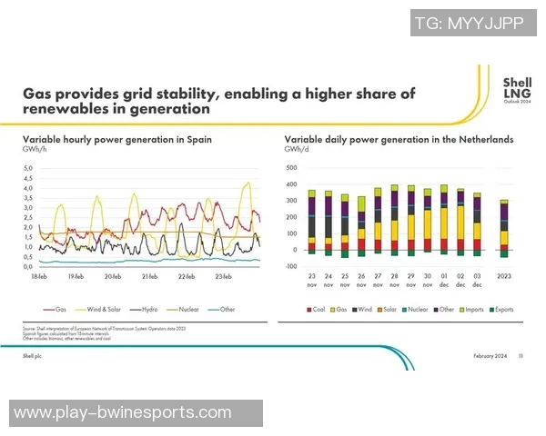 深度解析LNG转换策略及其在能源市场中的应用与前景
